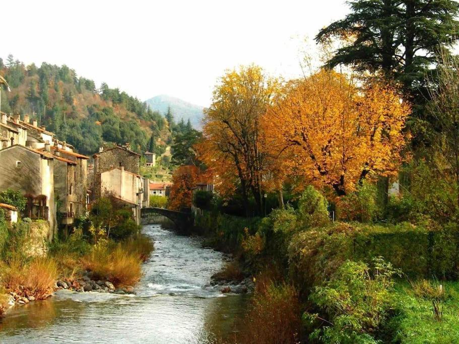 Le Petit Luxembourg